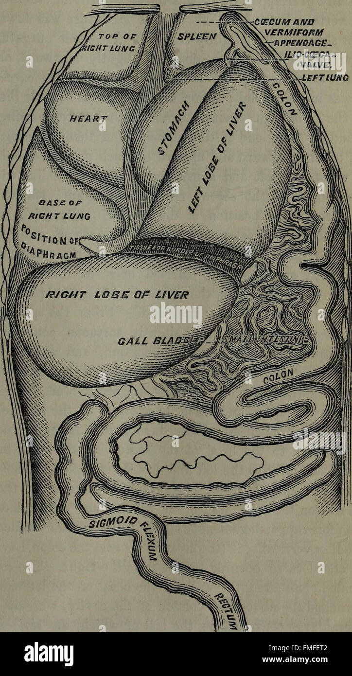 Das Richmond und Louisville medical Journal (1873) Stockfoto