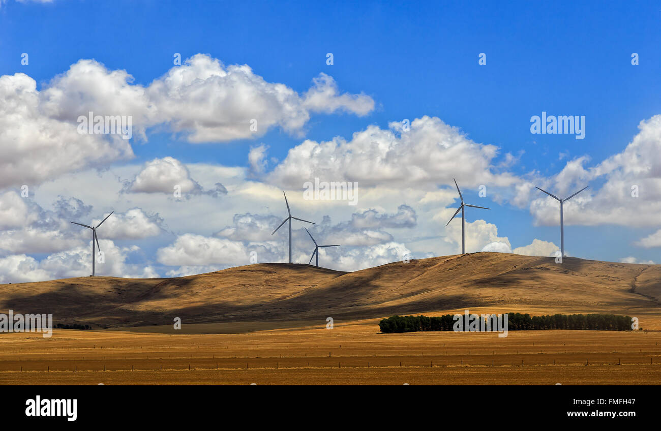 Bauernhof von Windkraftanlagen zur Stromerzeugung auf Hügel Reihe in Ebenen von South Australia an einem sonnigen Sommertag. Stockfoto
