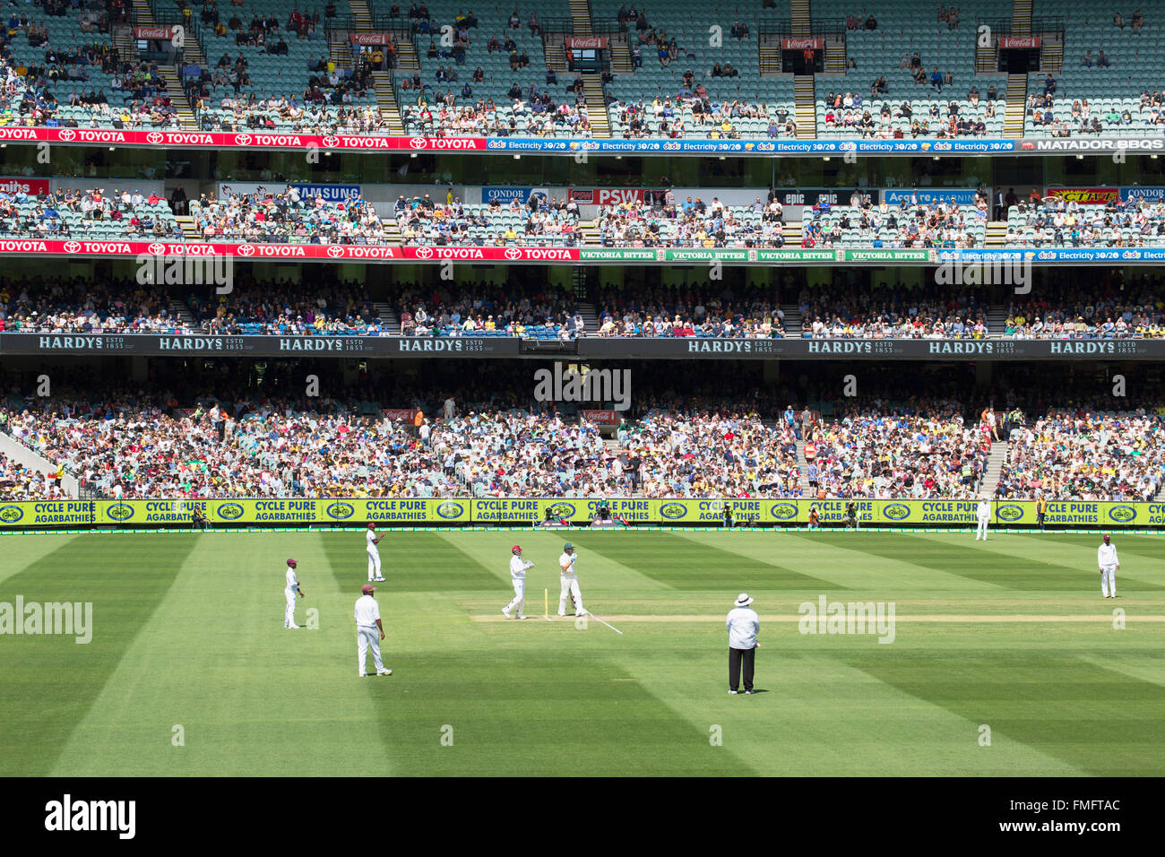 Cricket-Match im Melbourne Cricket Ground (MCG), Melbourne, Victoria, Australien Stockfoto