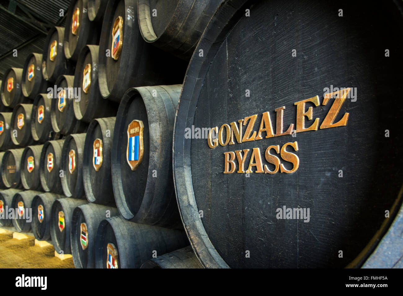 Gonzales Byass Weingut, Jerez De La Frontera, Andalusien, Spanien Stockfoto
