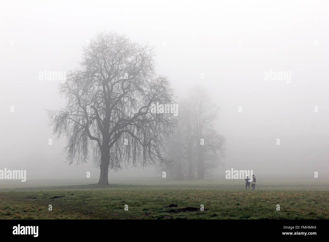 Nonsuch Park, Cheam, Surrey, UK. 12. März 2016. Es war ein nebliger Start in den Tag, wie die Frühaufsteher einen durch Nonsuch Park, Cheam, Surrey, UK Spaziergang. Bildnachweis: Julia Gavin UK/Alamy Live-Nachrichten Stockfoto