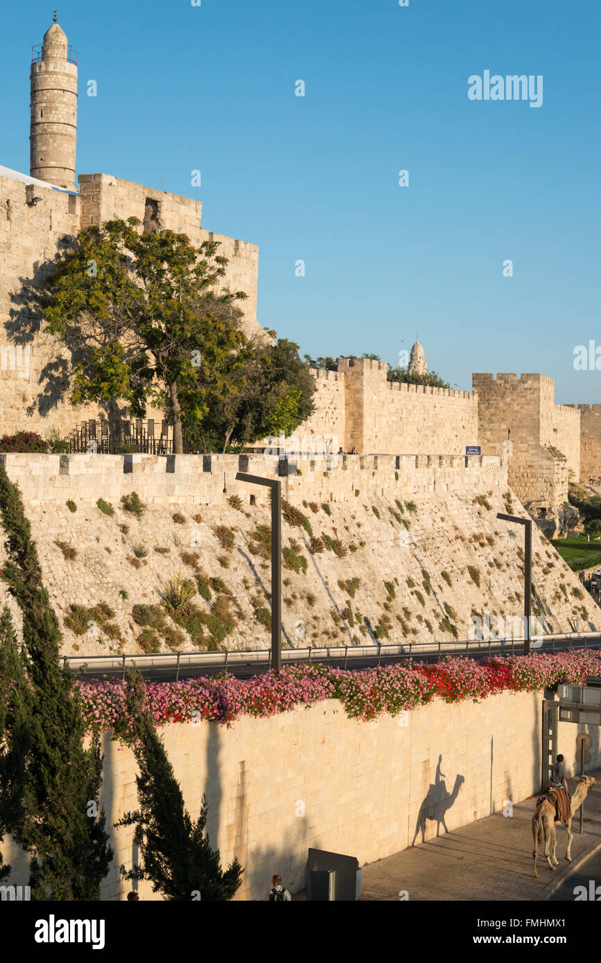 Turm von David mit Schatten eines Kamels. Altstadt von Jerusalem. Israel Stockfoto