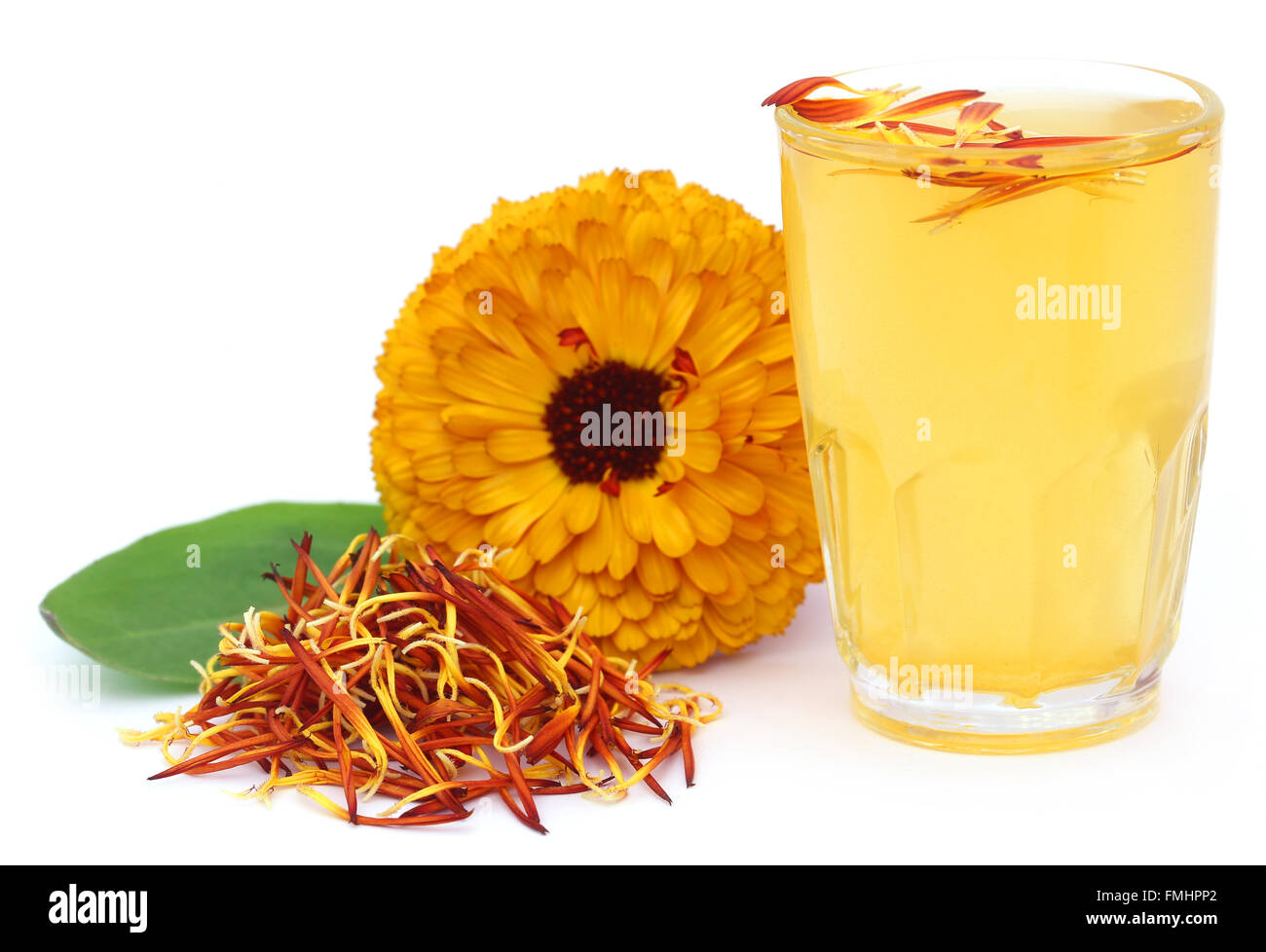 Pflanzliche Calendula Blume mit Extrakt in einem Glas auf weißem Hintergrund Stockfoto
