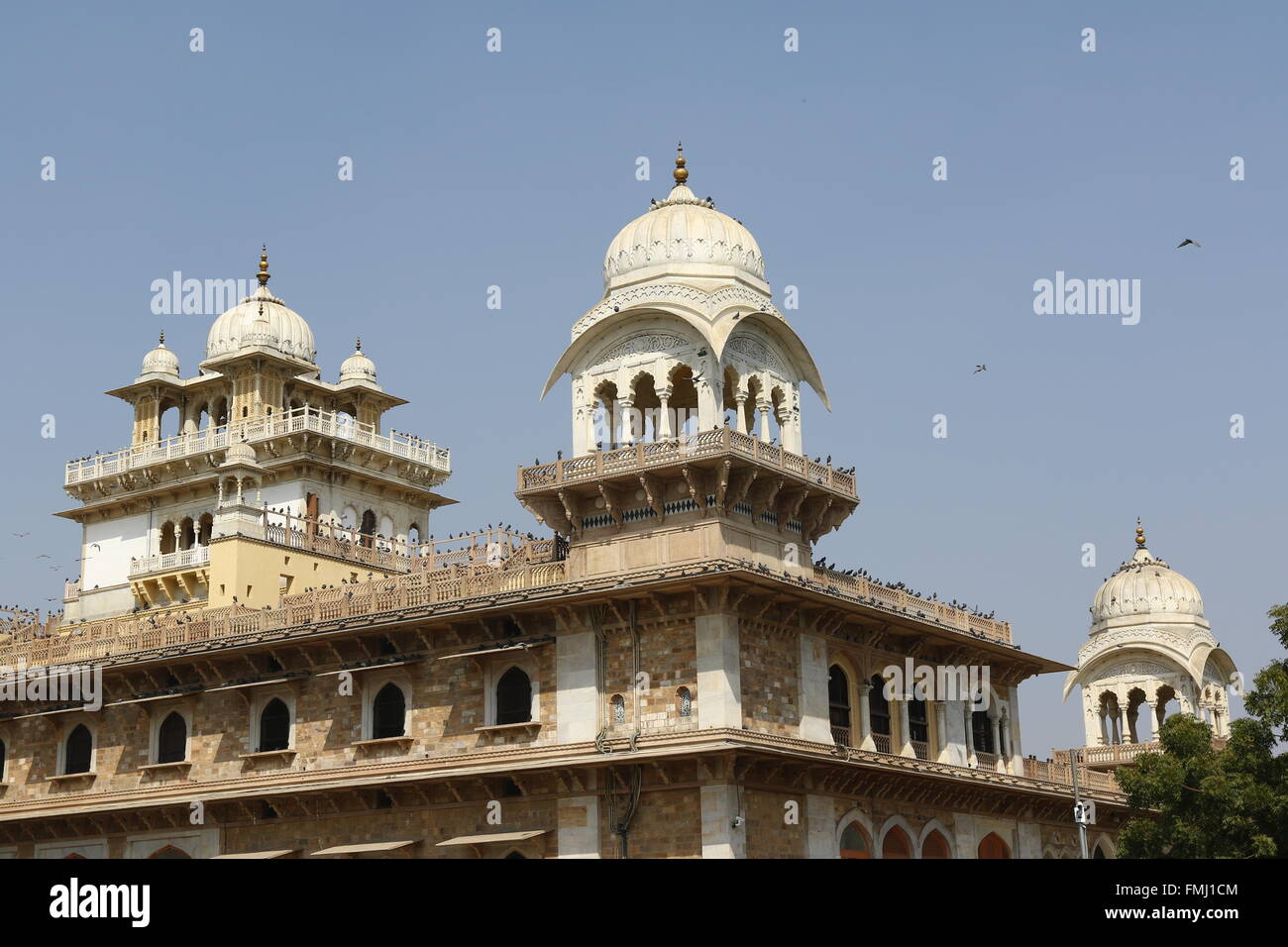 14. Februar 2016 Indien.  Zentralmuseums (Albert Hall Museum) in Jaipur Rajasthan Zustand. Foto von Jowita Khan Stockfoto