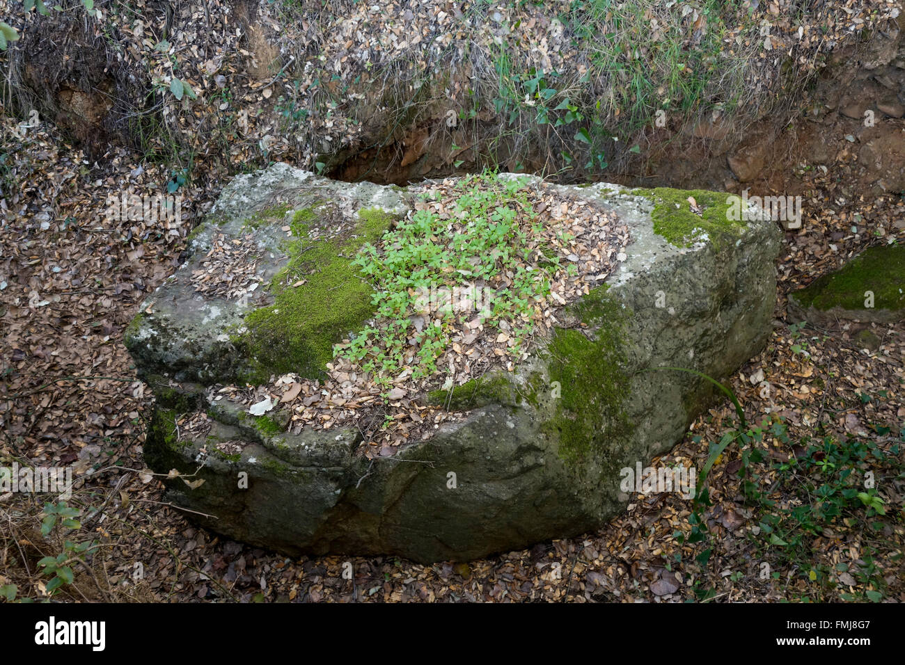 Großer Stein, Stein, Kalkstein bedeckt mit Moos in der Schlucht. Spanien. Stockfoto