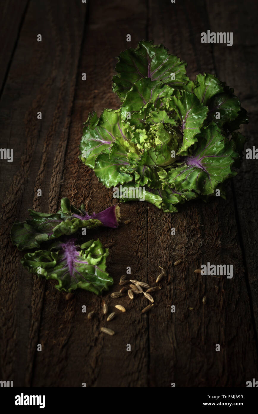 Blumen sprießen und Kümmel auf Holztisch Stockfoto