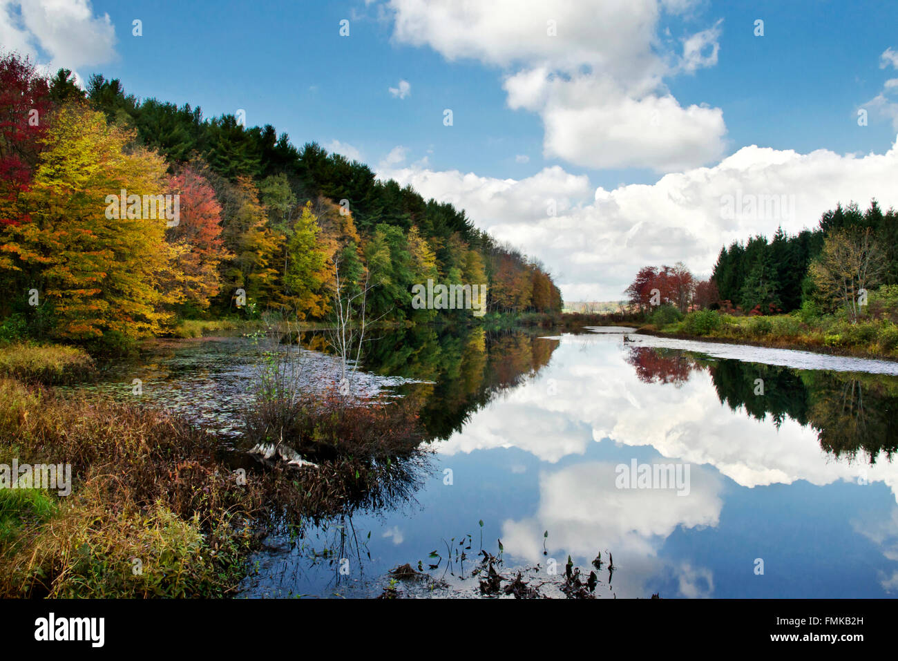 Bunte Herbst Bäume und Reflexion, malerische Landschaft am langen Teich in Smithville New York, Chenango County Nordamerika USA. Stockfoto