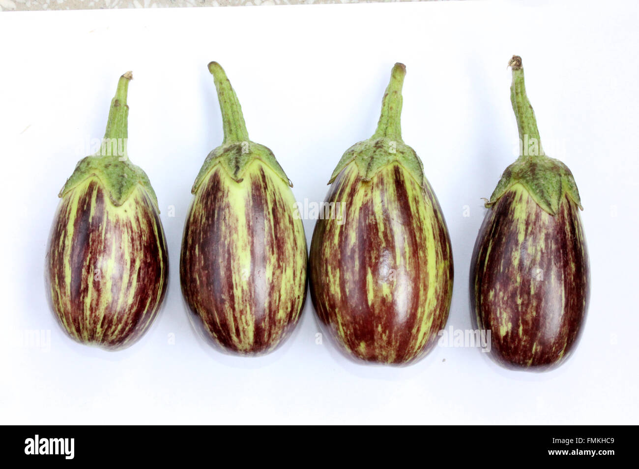 Bunt lila Aubergine, Solanum Melongena, Hybrid-Sorte mit mittlerer Größe Früchte lila schwarz gefärbt, Lichtlinien Stockfoto
