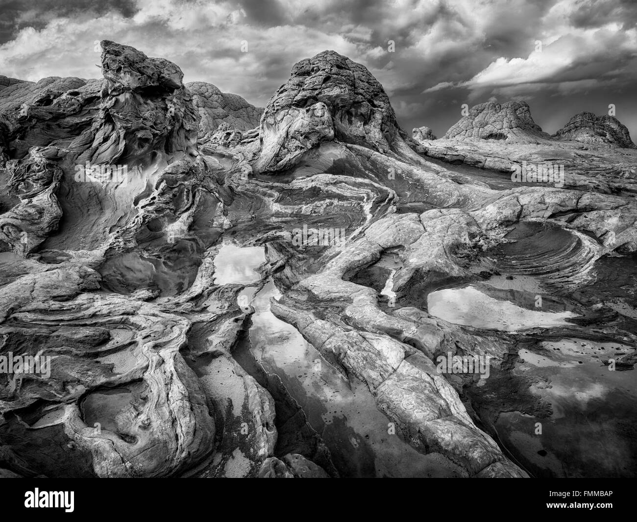 Weiße Tasche mit Regen-Wasser-Pools. Vermilion Cliffs National Monument, Arizona Stockfoto