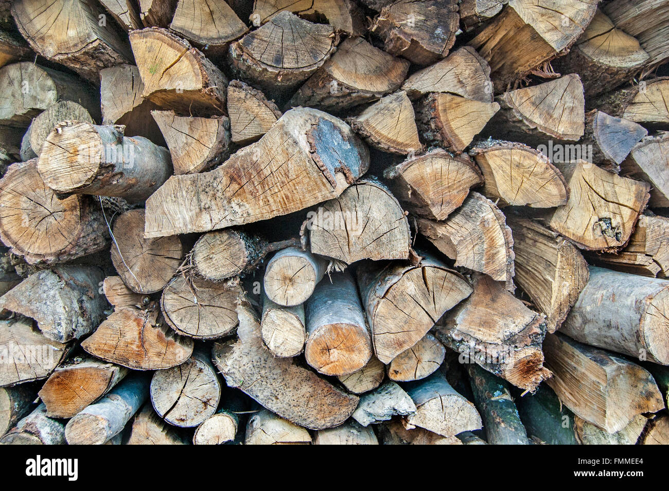 Holzschnitt auf dem Betriebshof des Protokolls und zum Verkauf bereit. Stockfoto