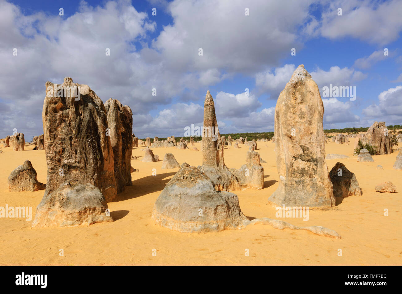 Die Pinnacles, Nambung National Park, Cervantes, Western Australia, WA, Australien Stockfoto
