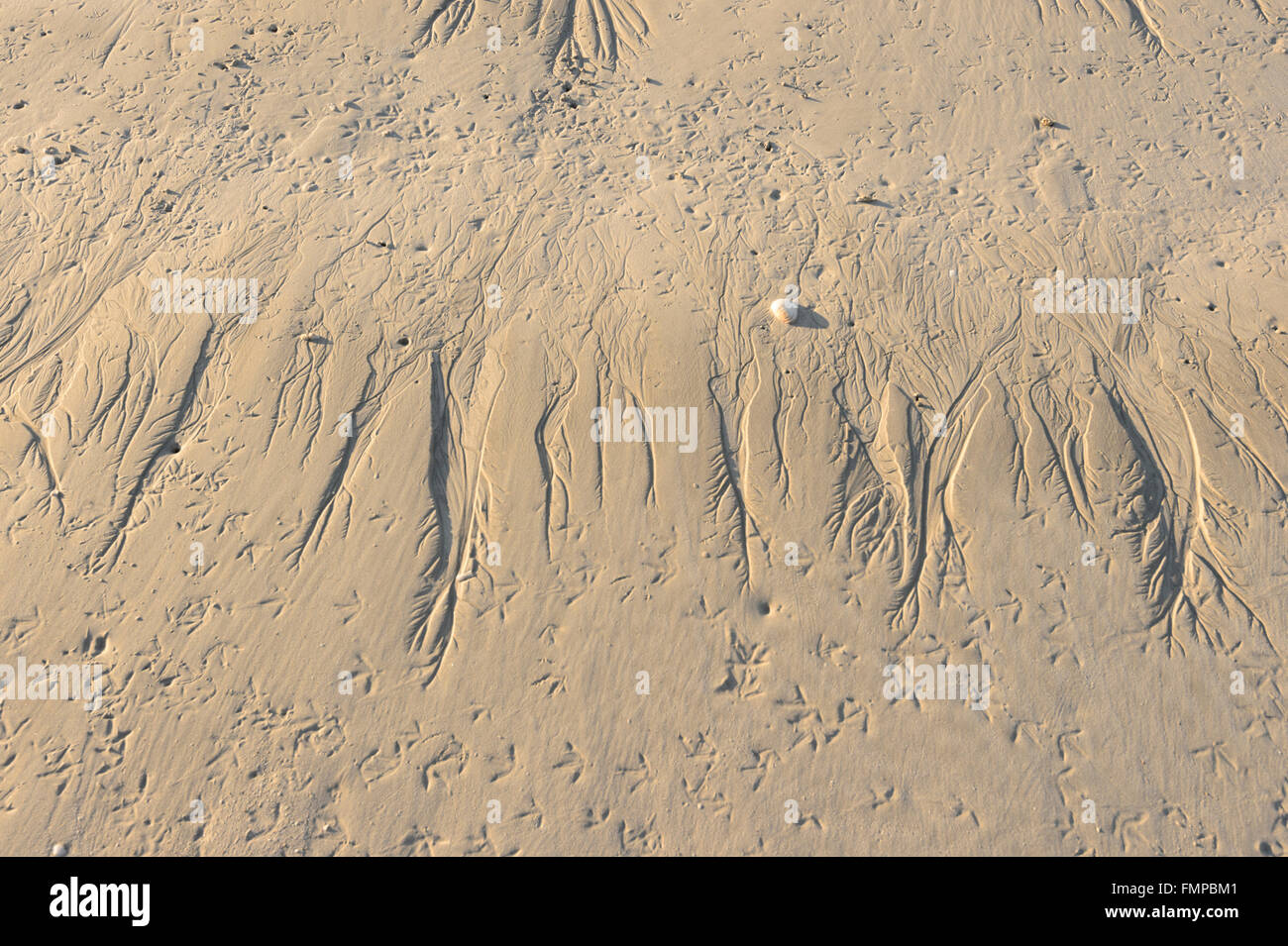 Sand, Muster, Eighty Mile Beach, Western Australia, WA, Australien Stockfoto
