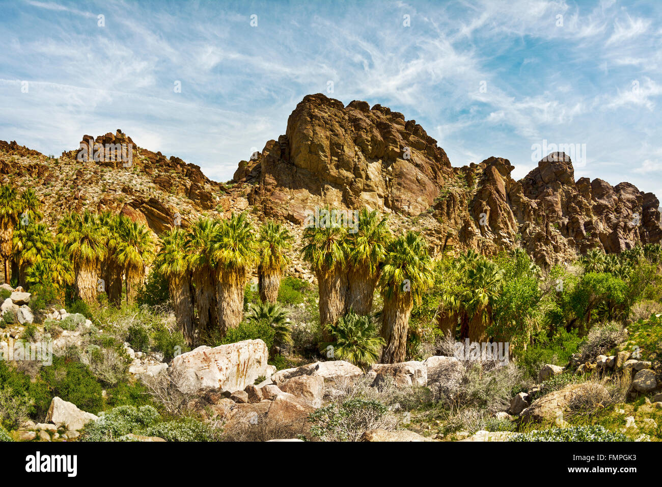 Malerische Aussicht auf einem felsigen Berghang in Palm Springs mit einer Reihe von Palmen und anderen natürlichen Laub umrahmt. Stockfoto