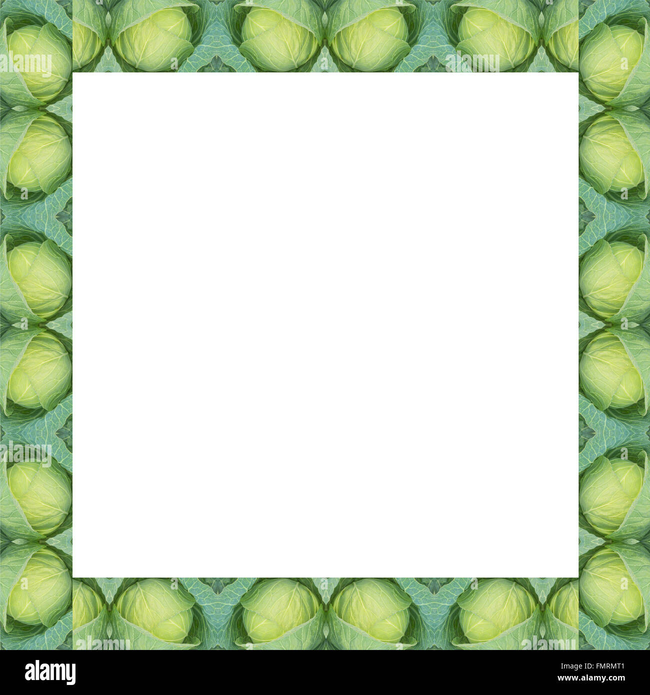 Grünkohl-Rahmen isoliert auf weißem Hintergrund Stockfoto