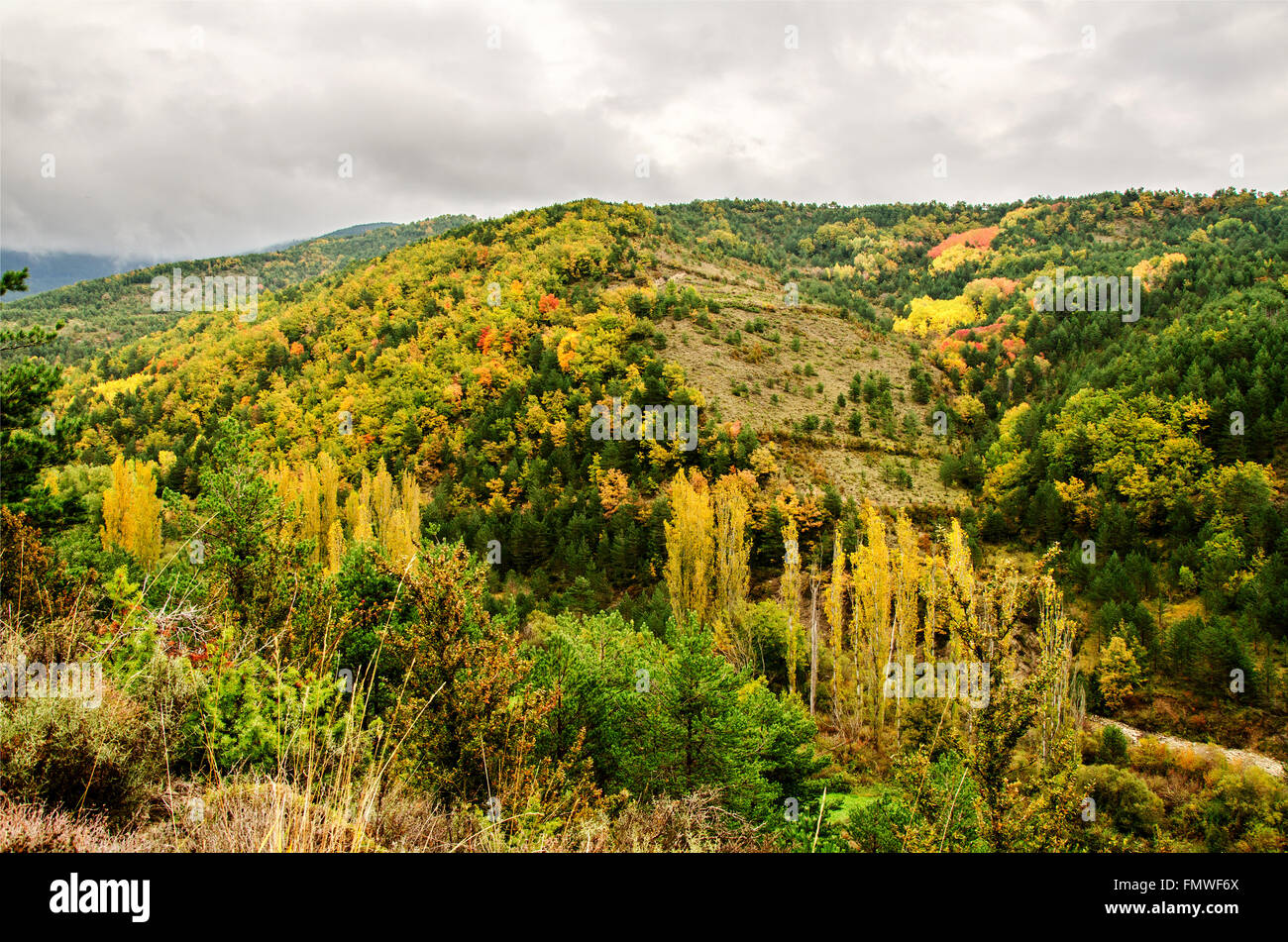 Herbst in den Pyrenäen Stockfoto