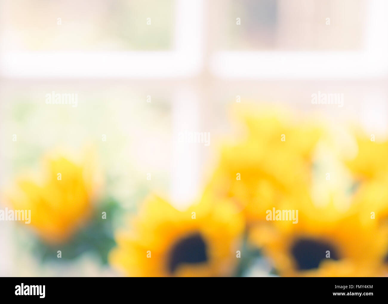 Hintergrundbild der Vase mit Sonnenblumen vor traditionellen weißen gerahmte Fenster unscharf Stockfoto