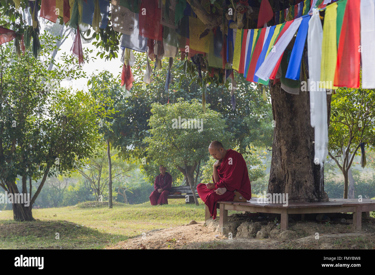 Lumbini, Nepal - November 27, 2014: Photograph of buddhist monks sitting under a tree with prayer falgs. Stockfoto