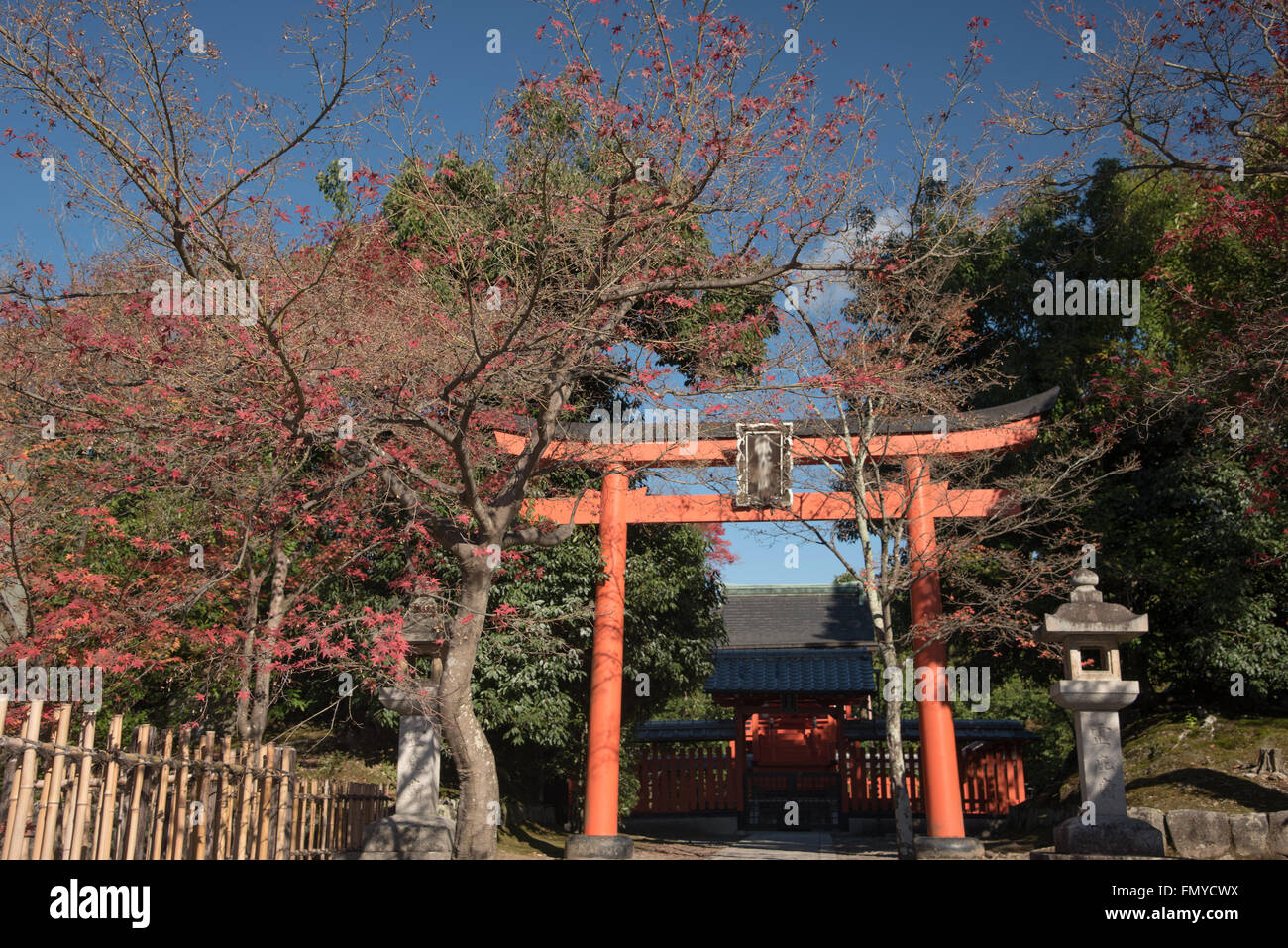 Kyoto, Japan. Die Tenryu-Ji-Tempel im Stadtteil Sagano in Kyoto ist umgeben von bunten japanischen Ahorn Herbstlaub. Stockfoto
