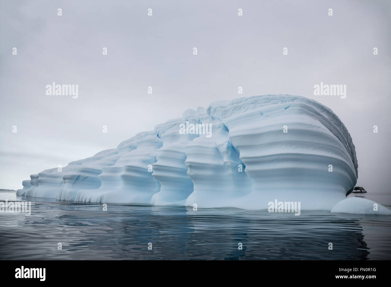 Antarktis, antarktische Halbinsel, Detaille Insel, große blaue Eisberg Stockfoto