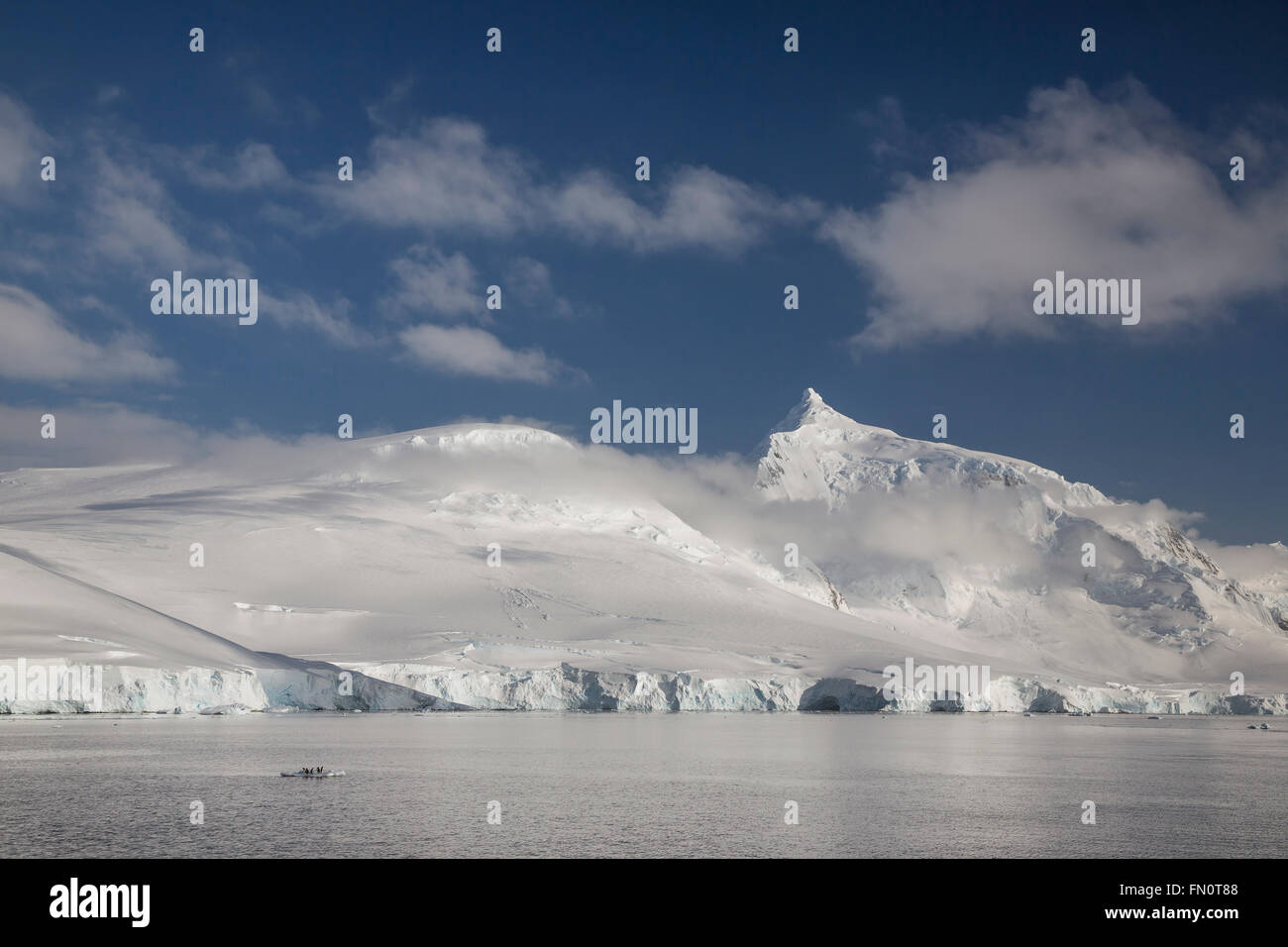 Antarktis, antarktische Halbinsel, Lemaire-Kanal, Pinguine auf der Eisscholle Stockfoto