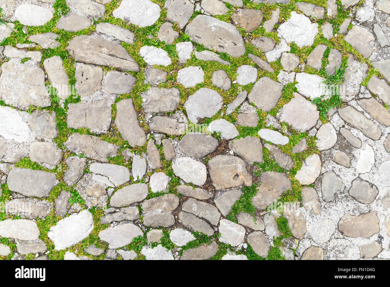 Alten Steinpflaster mit grünen Rasen, close-up Hintergrundtextur Stockfoto