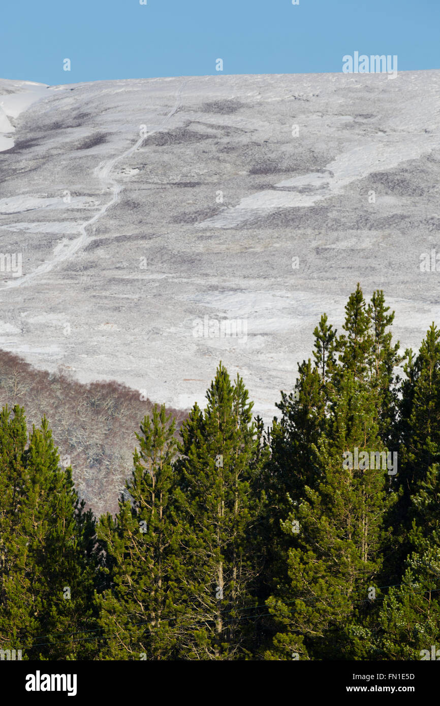 Glenlivet Estate; Winter; Schottland; UK Stockfoto