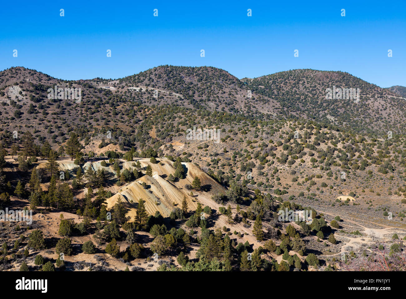 Bergematerial aus einem verlassenen Bergbaubetrieb von Virginia City, Nevada Stockfoto