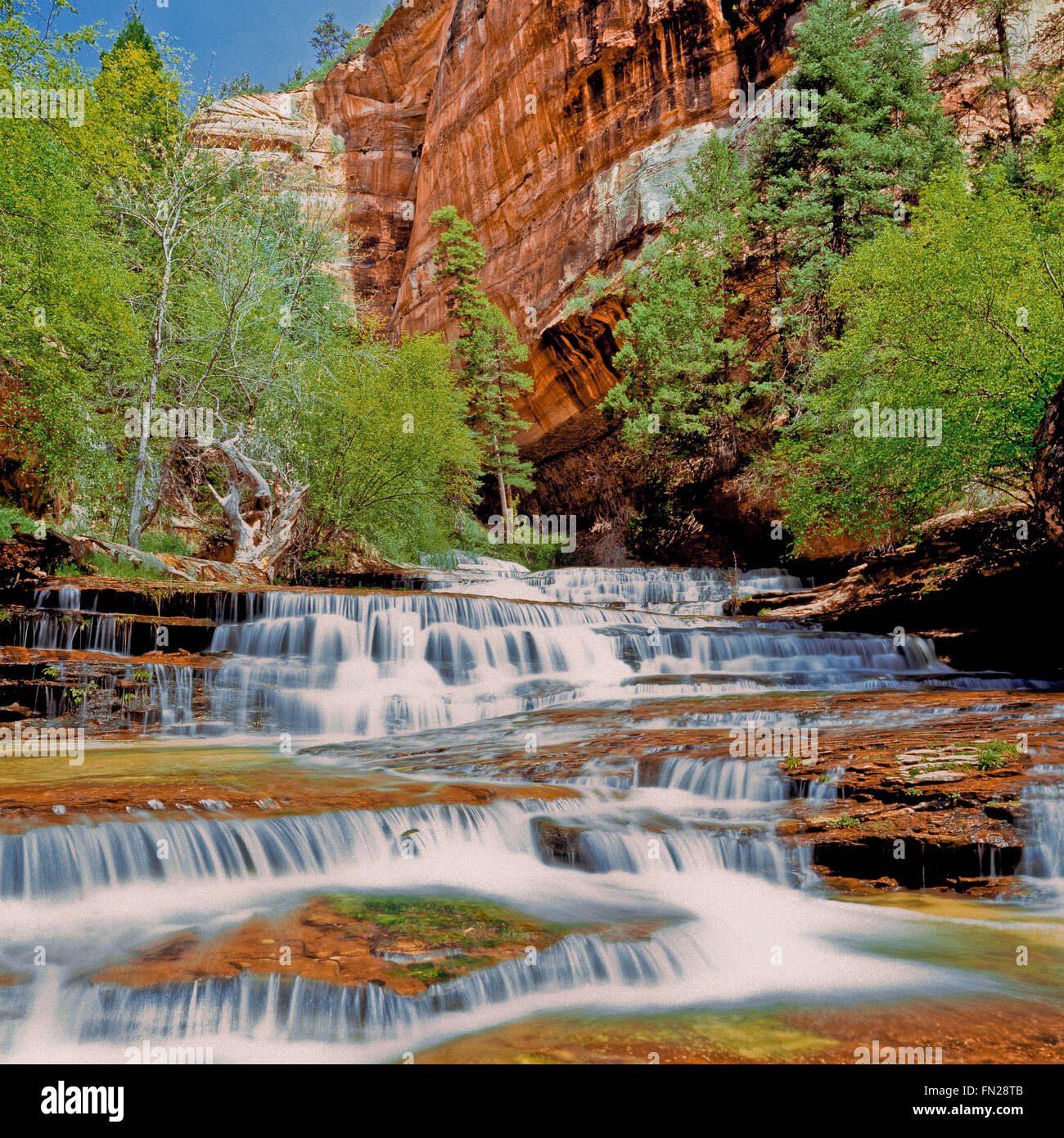 Erzengel-Kaskaden auf linke Gabel North Creek entlang Route zur Subway im Zion Nationalpark, utah Stockfoto