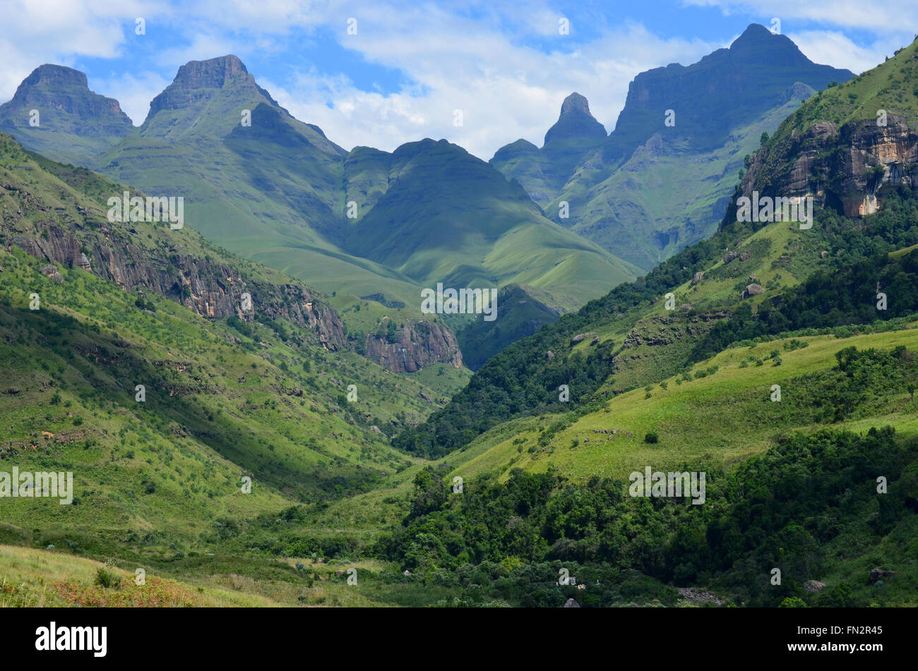 Cathedral Peak, Drakensberge, KZN, Südafrika Stockfoto