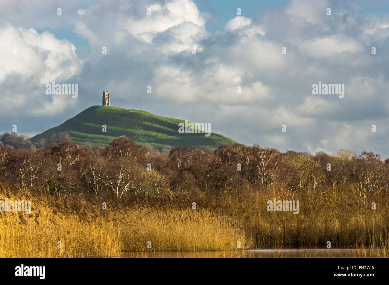 Glastonbury Tor steigt über den Somerset Levels England Stockfoto