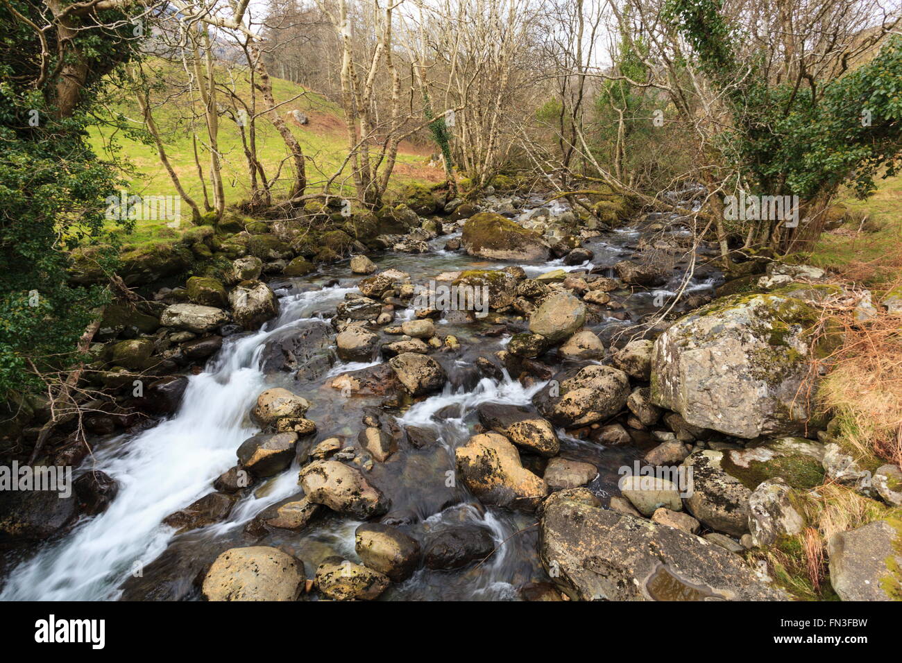 Afon Cadair Stockfoto
