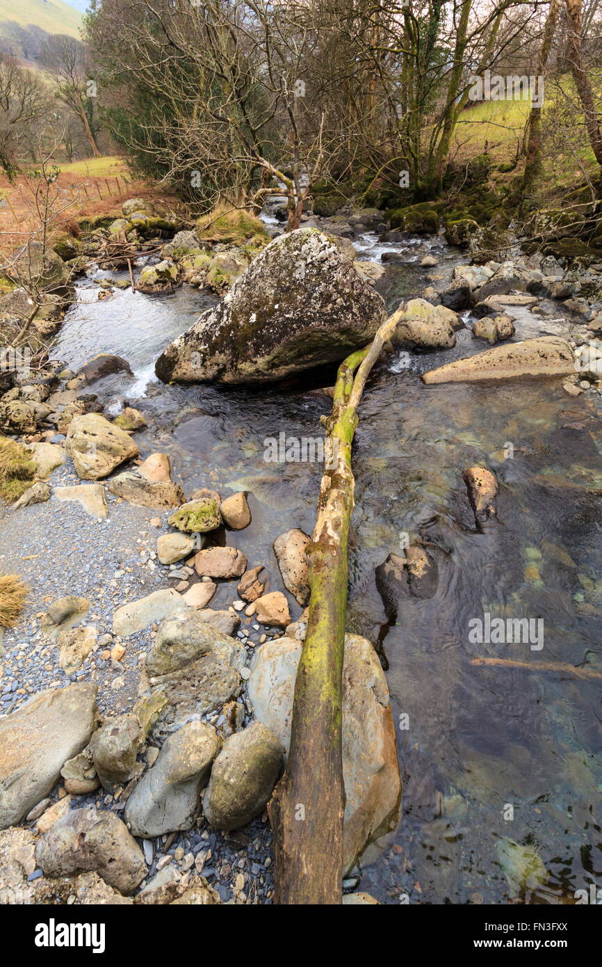 Afon Cadair Stockfoto