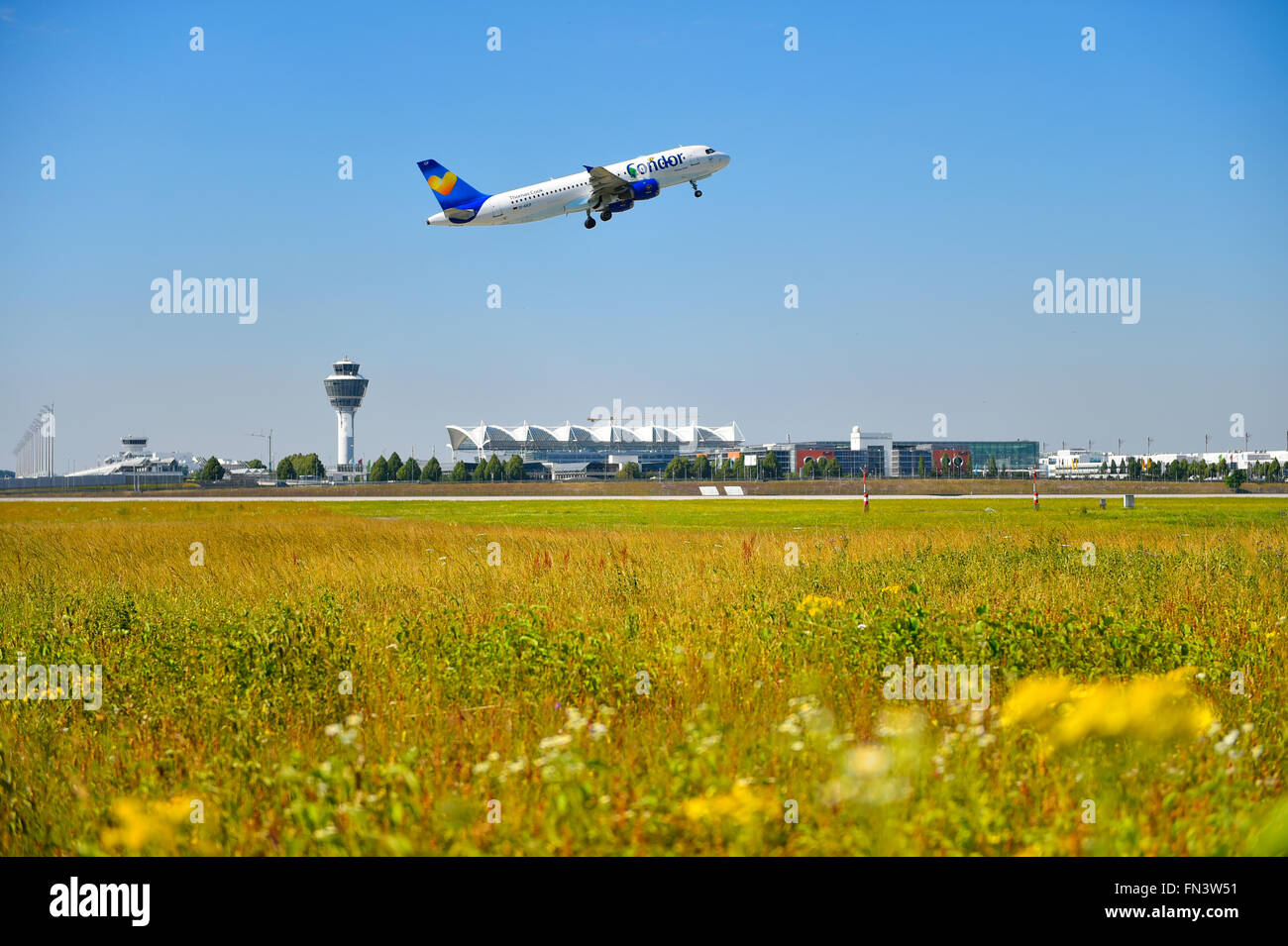 Condor, Airlines, Airbus, A 320, nehmen, ausziehen, Flugzeug, Flughafen, Übersicht, Panorama, Aussicht, Zeile oben, Flugzeuge, Flugzeug, Stockfoto