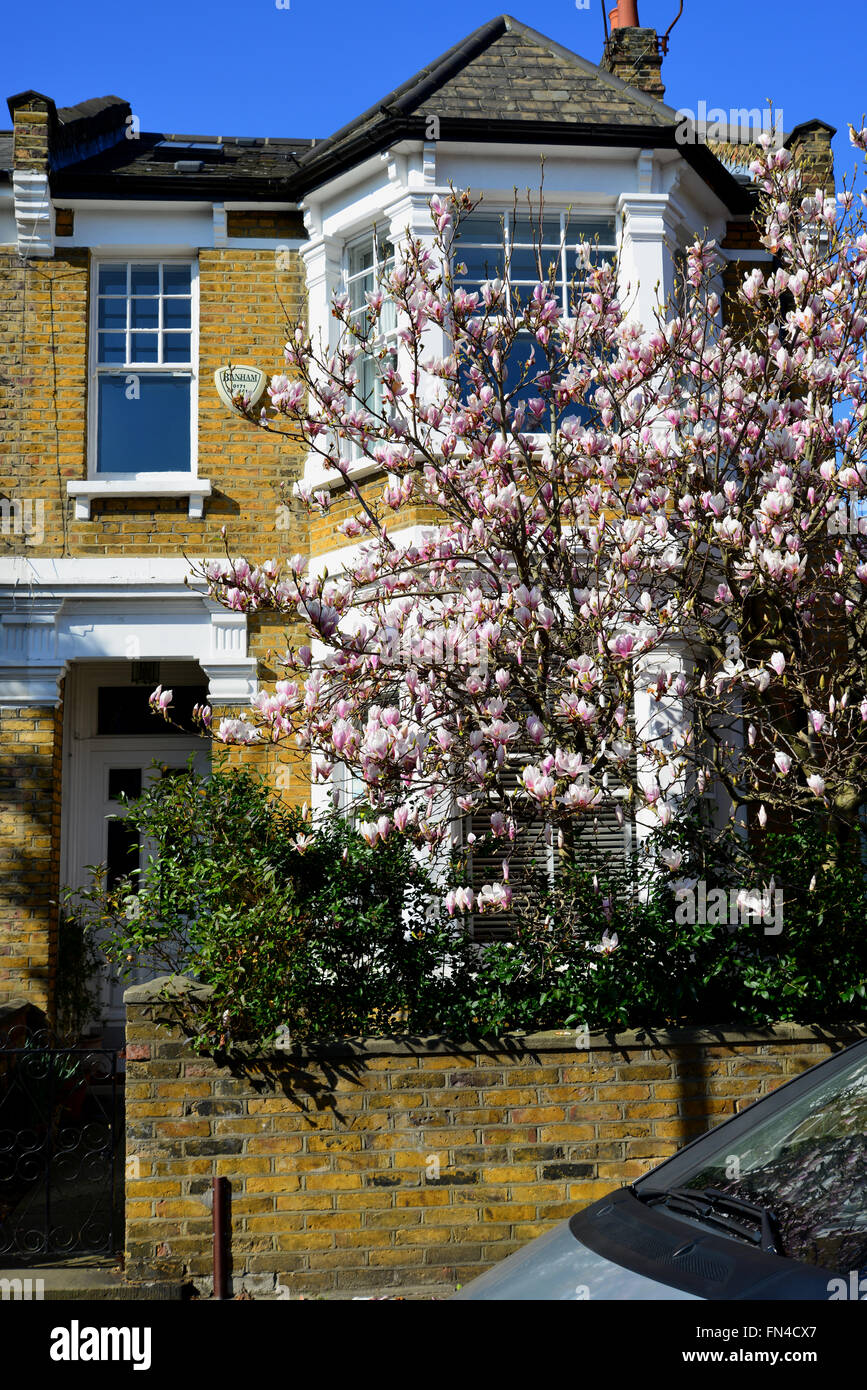 London NW6, Queen es Park, Summerfield Avenue Stockfoto