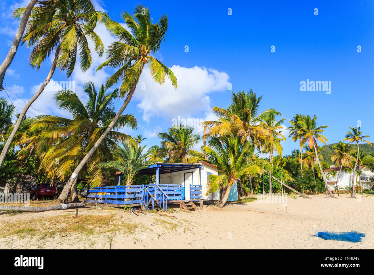 Holzhütte am Sandstrand mit Palmen und blauem Himmel in Carlisle Bay, Süd-West Antigua, Antigua und Barbuda, West Indies Stockfoto