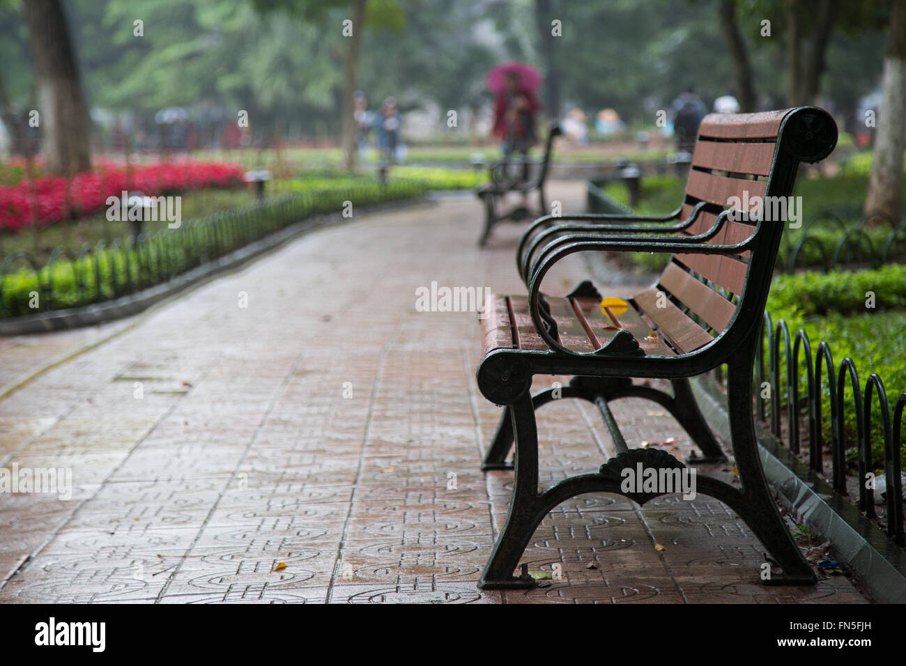 Nahaufnahme von einer Bank im Park nach dem Regen Stockfoto