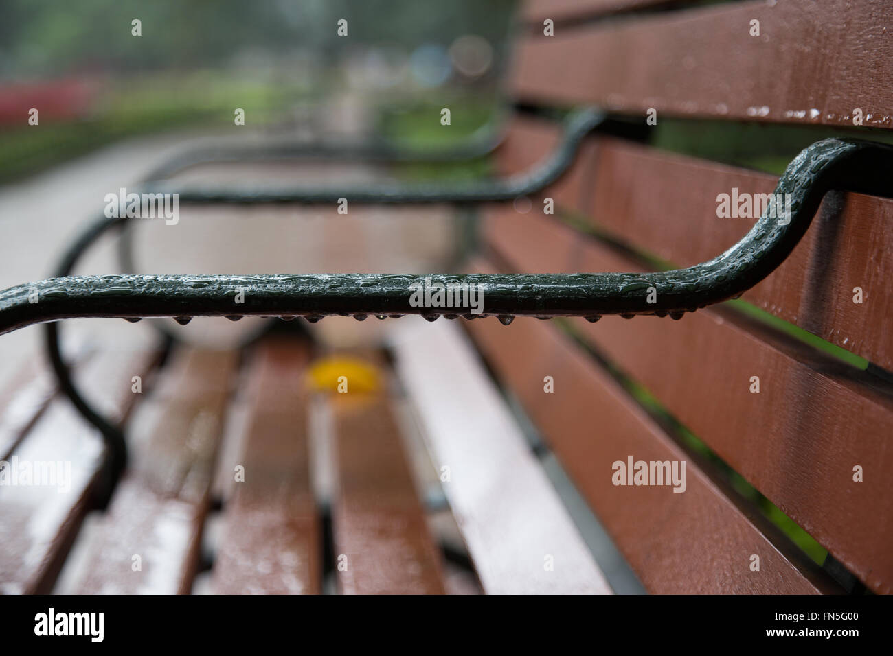 Nahaufnahme von einer Bank im Park nach dem Regen Stockfoto