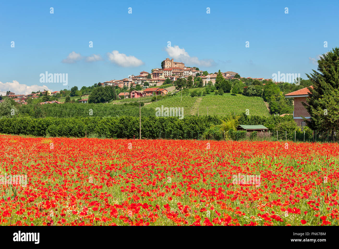 Ländlichen Gebiet der rote Mohn unter blauem Himmel als kleine Stadt auf dem Hügel im Hintergrund im Piemont, Norditalien. Stockfoto