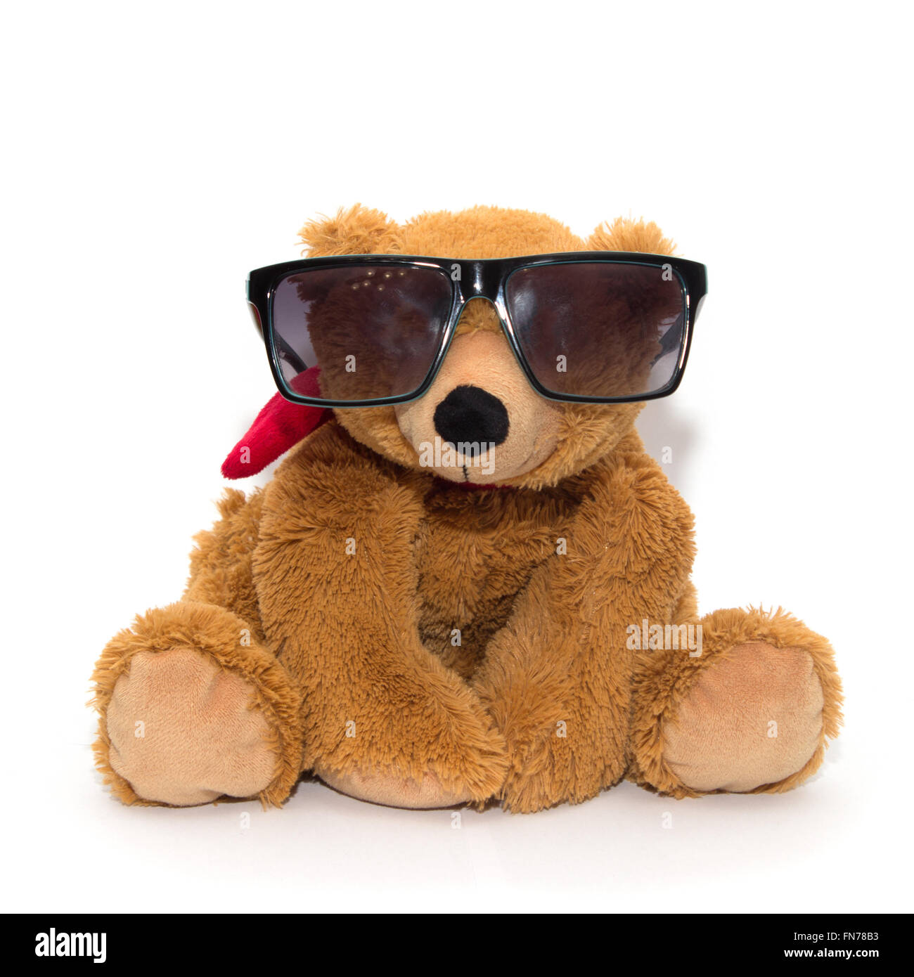 Cool Teddybär in Sonnenbrille isoliert Stockfoto