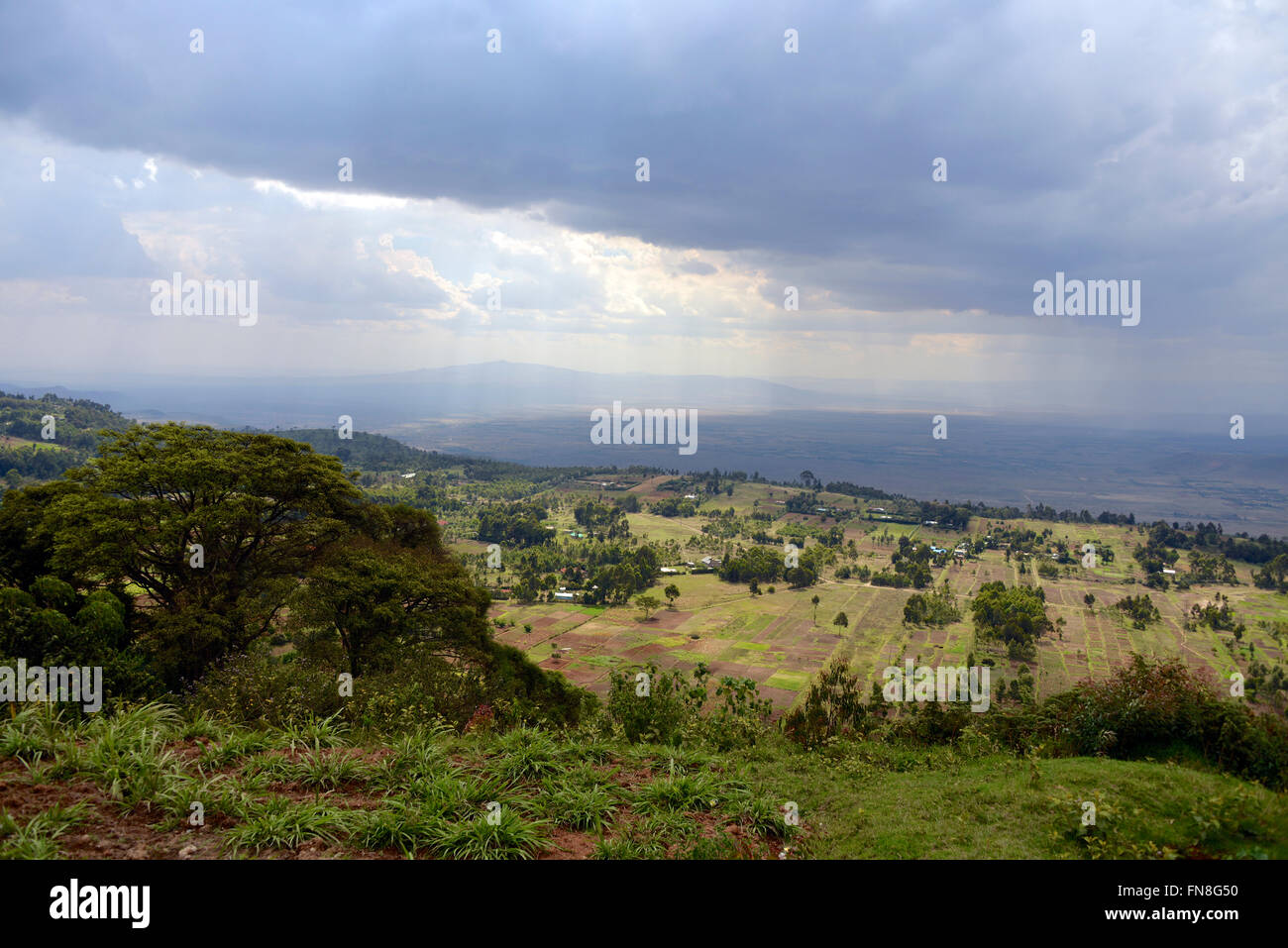 Afrika: Kenia: The East African Rift Valley Nord-West von Limuru über die bewirtschafteten Terrassen in Richtung Ngong Hills und Naivasha schauen Stockfoto