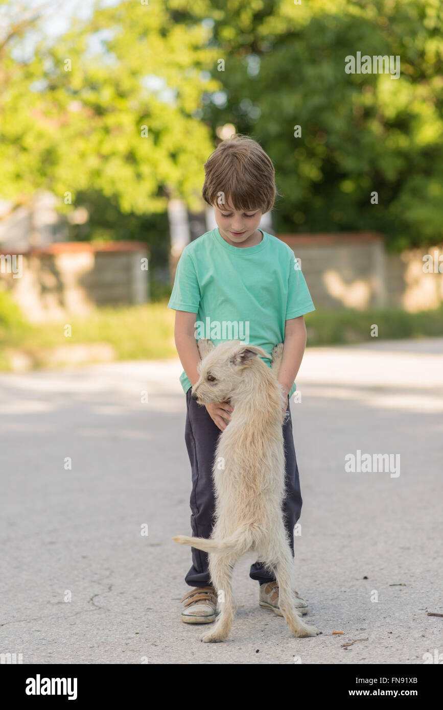 Jungen spielen mit Hund Stockfoto