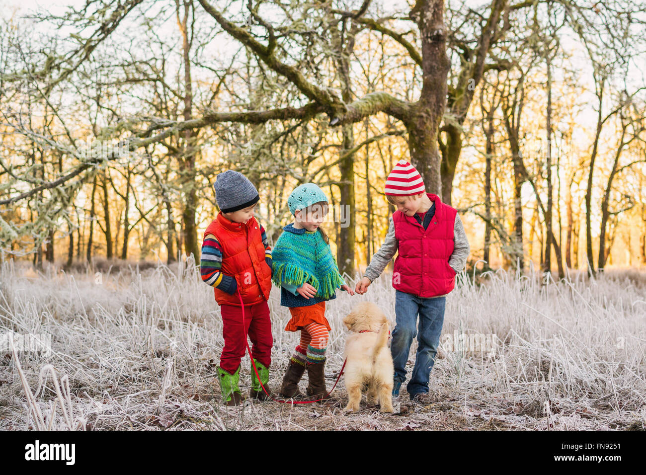 Drei Kinder spielen mit einem golden Retriever Welpe Hund im Wald Stockfoto