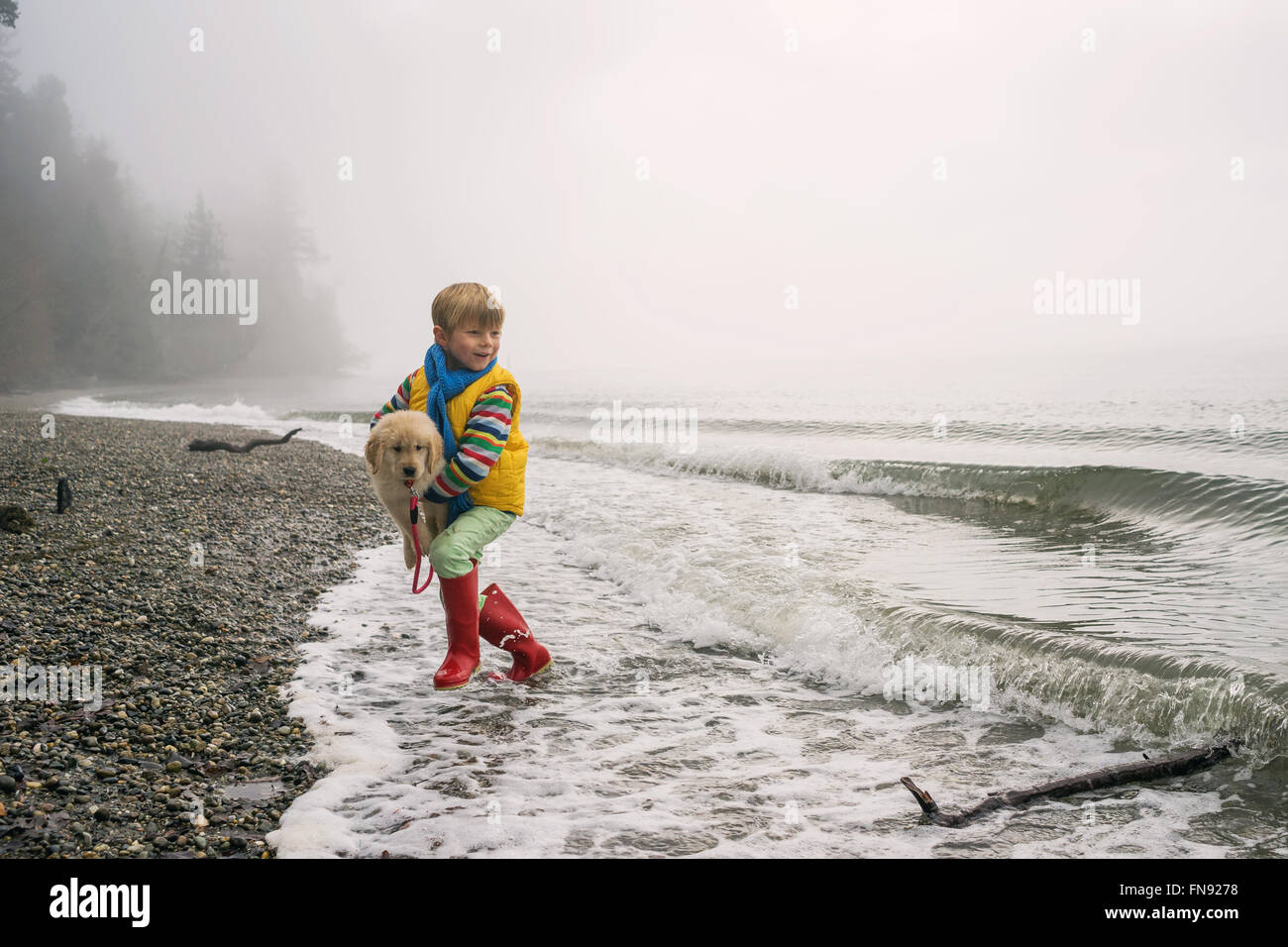 Junge im Surf mit golden Retriever Welpe Hund ausgeführt Stockfoto
