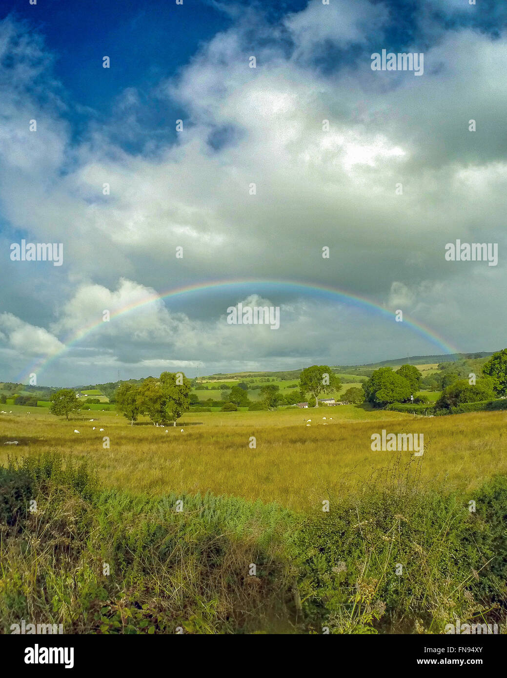 Regenbogen geliebte Landschaft, Wales, UK Stockfoto