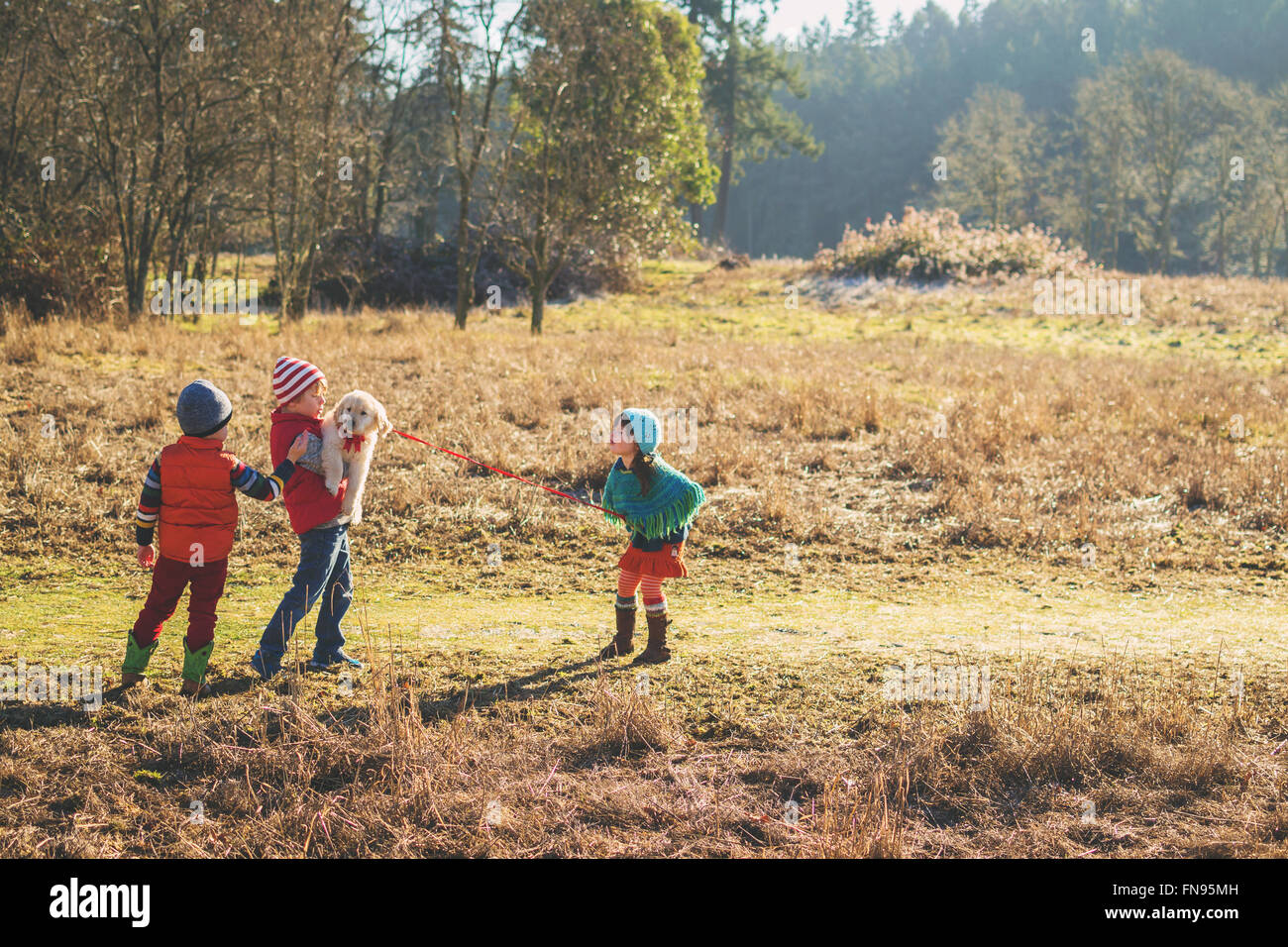 Drei Kinder spielen mit einem golden Retriever Welpe Hund Stockfoto