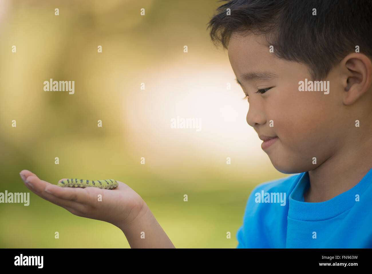 Ein Junge, ein Gecko oder Eidechse auf der Hand halten. Stockfoto