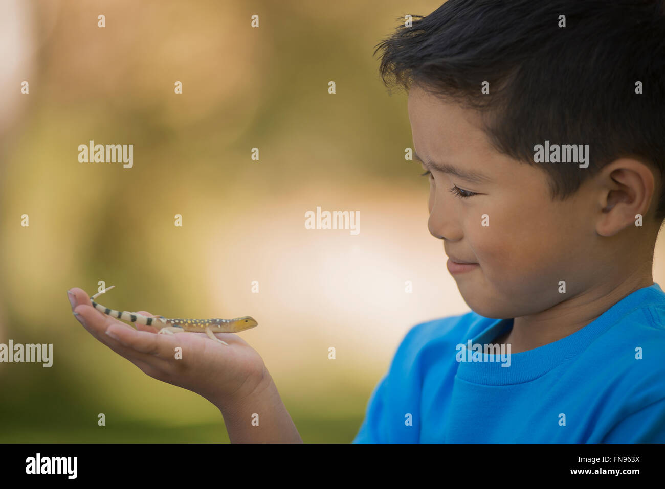Ein Junge, ein Gecko oder Eidechse auf der Hand halten. Stockfoto