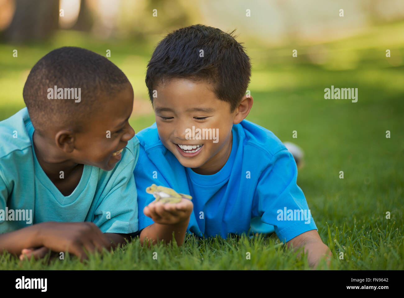 Zwei Jungs auf dem Rasen, man einen Frosch in der Hand hält. Stockfoto