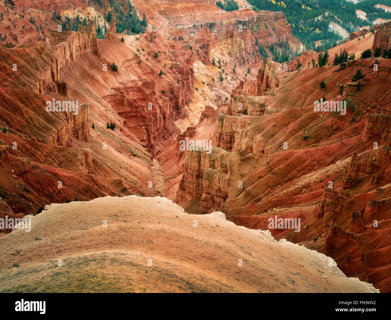Canyon landet in Cedar Breaks National Monument, Utah Stockfoto