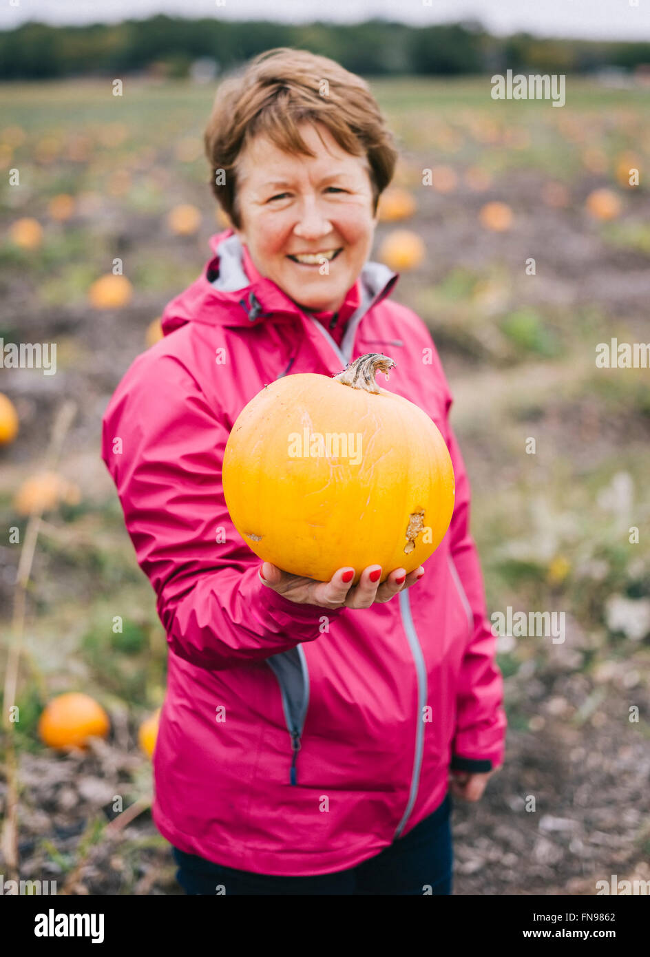 Eine reife Frau in einer roten Jacke, hielt eine große orange Kürbis. Stockfoto